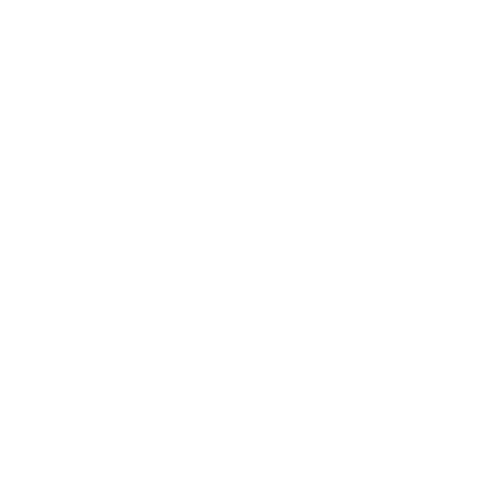 connect_icon
