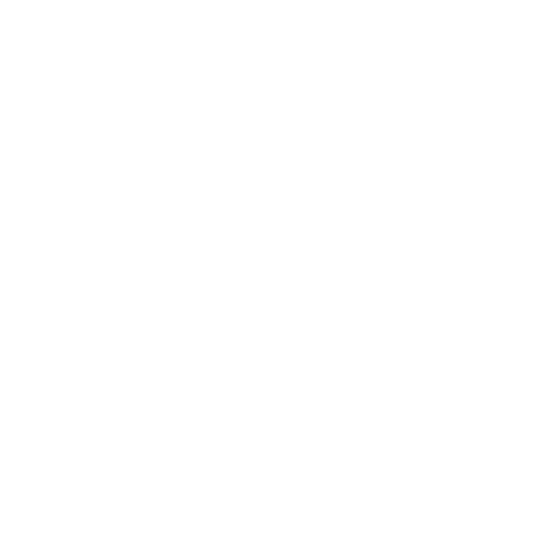 investor_icon